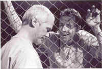 Coyote1.jpg (85145 bytes)